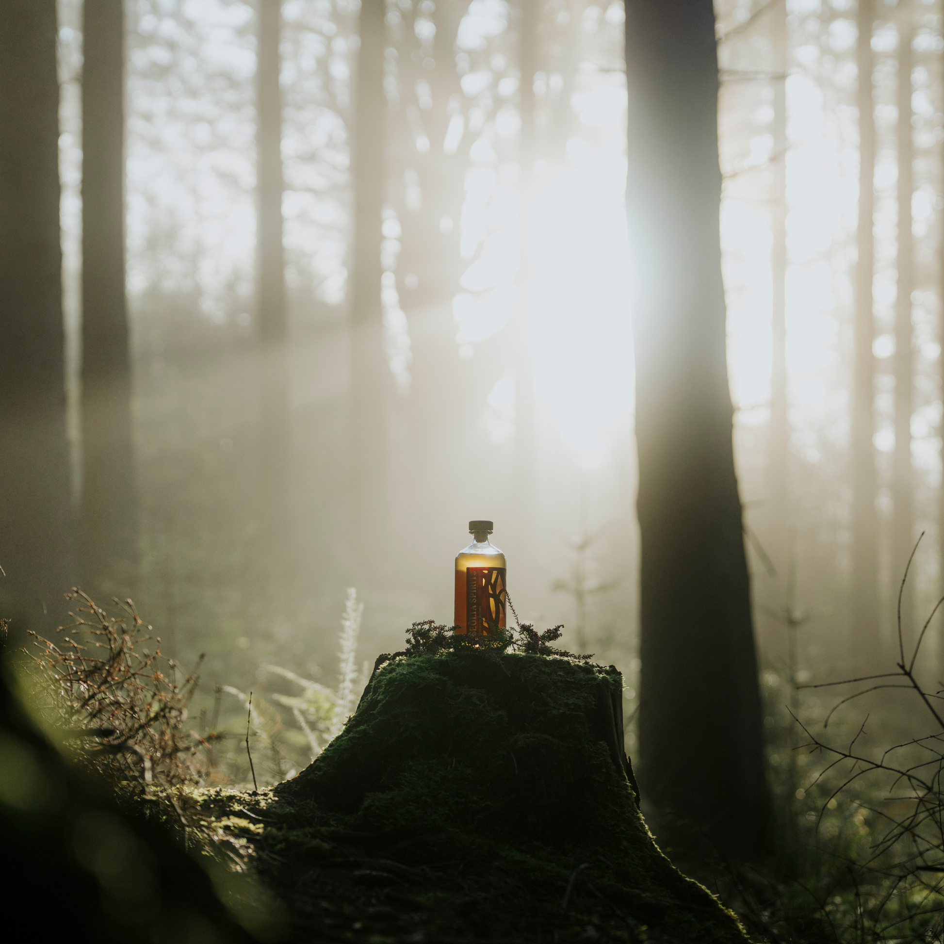 Scottish Spiced Rum in Sunrise (2)